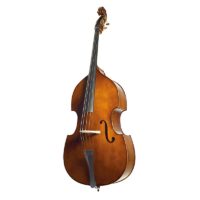 String Bass Rental